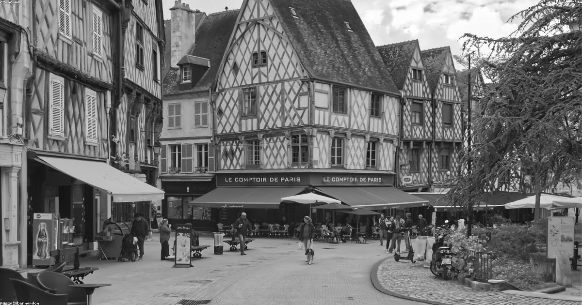 A luta pela preservação de espécies ameaçadas