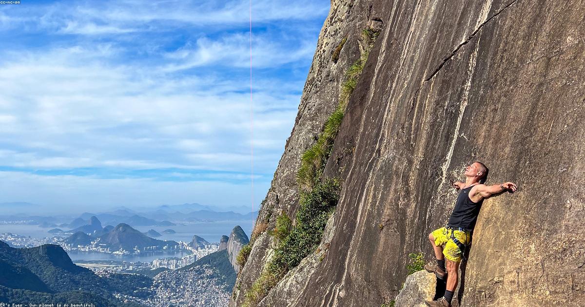 Como a tecnologia está ajudando a monitorar a biodiversidade