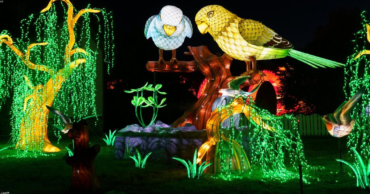 Histórias de pessoas que mudaram de vida por causa do meio ambiente