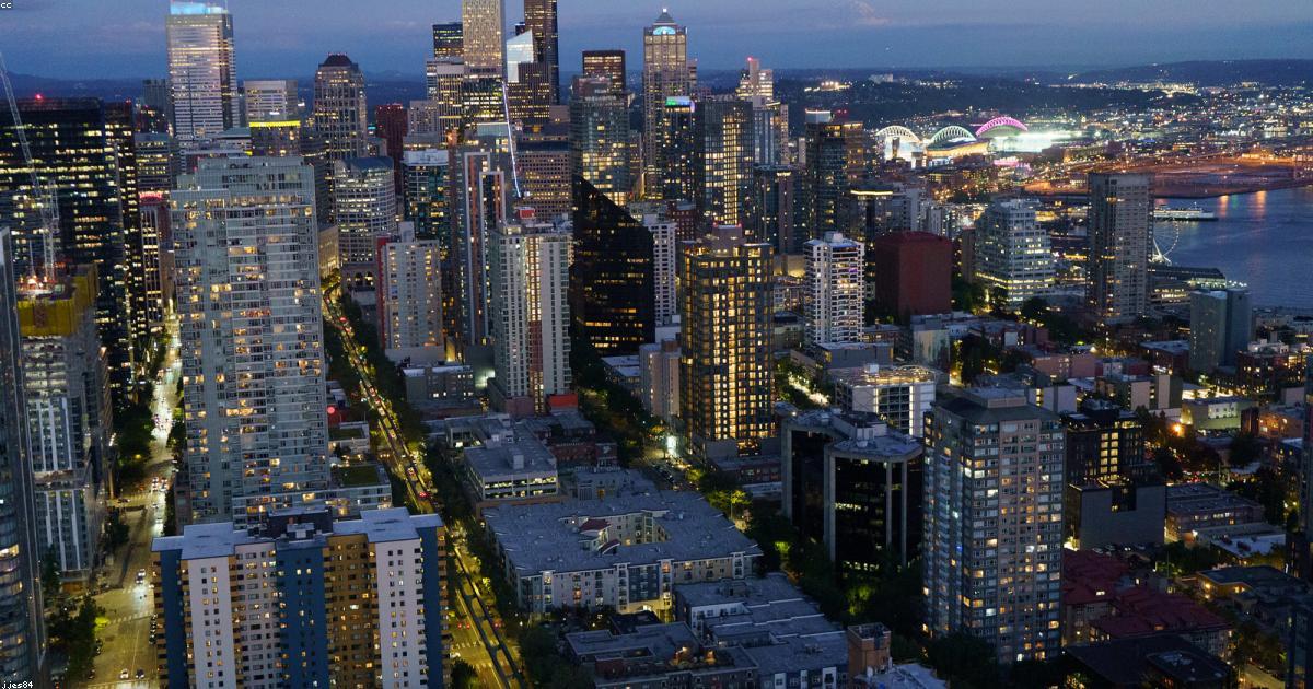 O papel das ONGs na luta pela sustentabilidade