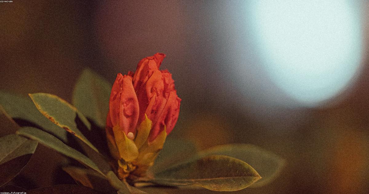 Desafios e soluções para o lixo eletrônico no Brasil